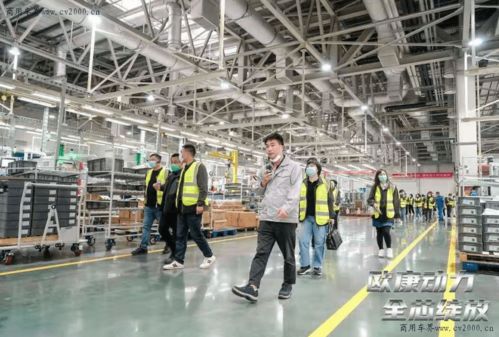 合規(guī)藍(lán)牌輕卡自主品牌發(fā)動(dòng)機(jī)崛起 能否成為用戶首選動(dòng)力及投資管理展望