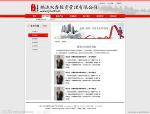 投資管理 專業(yè)與遠(yuǎn)見(jiàn)的視覺(jué)呈現(xiàn)