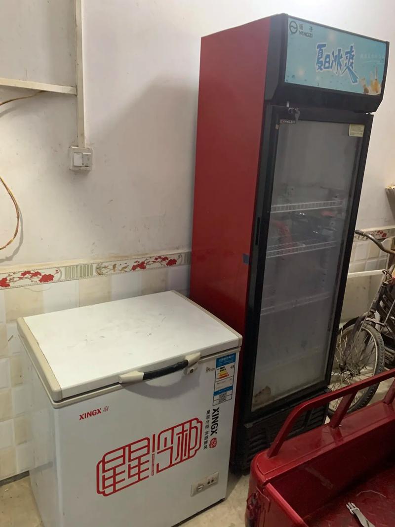新到品質貨，冷藏冷凍齊上陣，給夏日冷飲加馬力
